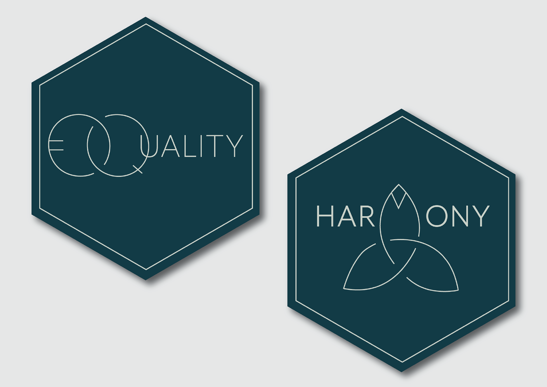 Two hexagonal marks with icons, labelled Equality and Harmony